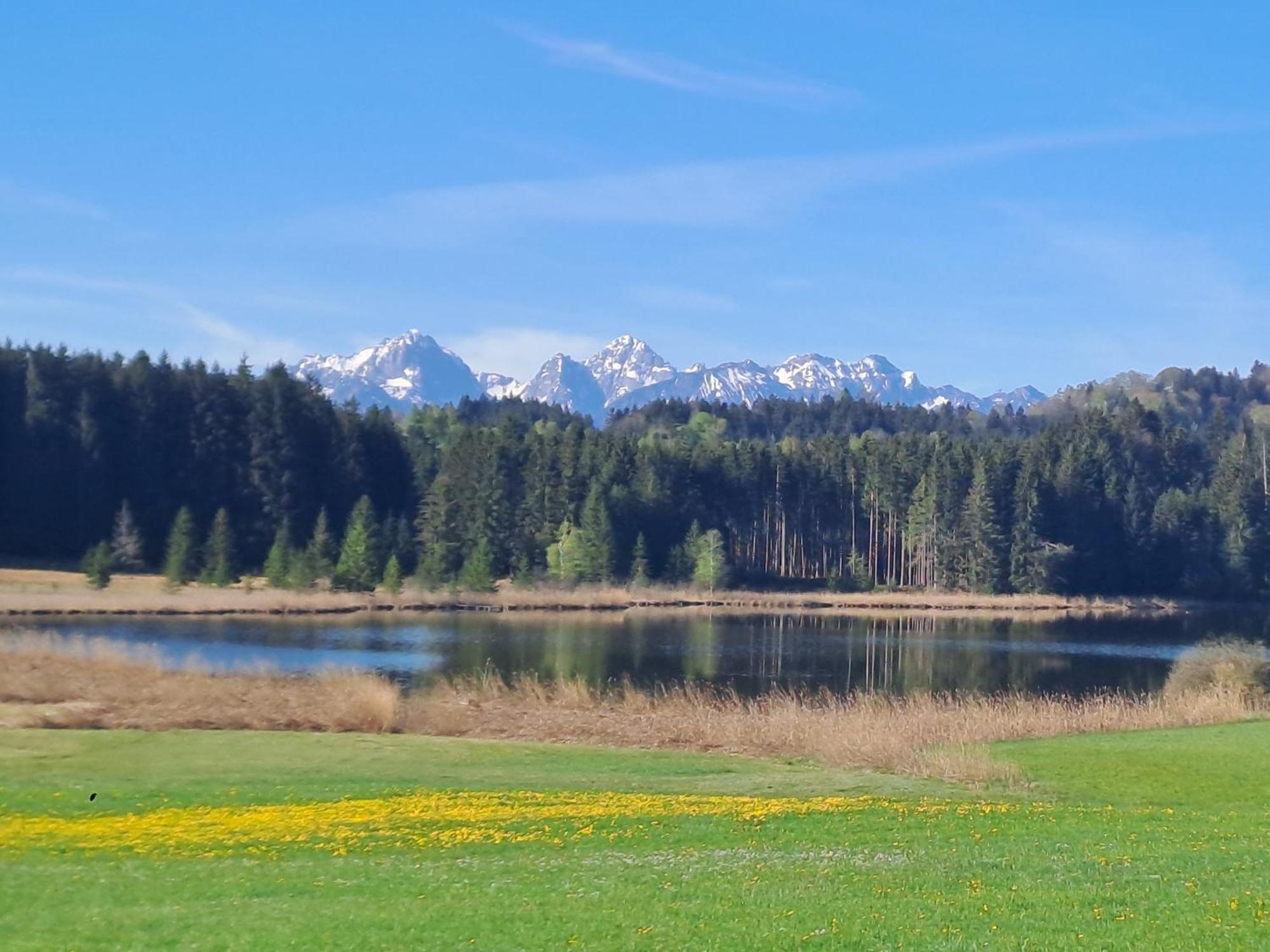Allgaeu-Genuss Хальблех Экстерьер фото